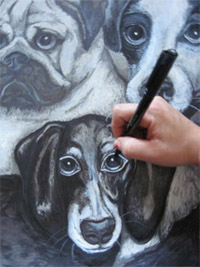 Stephanie sketching dogs
